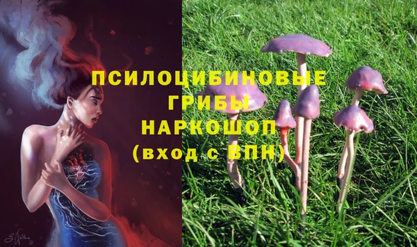 ПСИЛОЦИБИНОВЫЕ ГРИБЫ Баксан