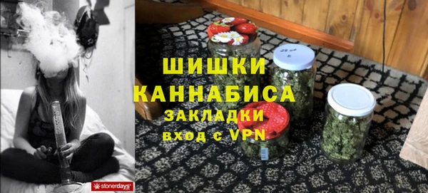 ПСИЛОЦИБИНОВЫЕ ГРИБЫ Баксан