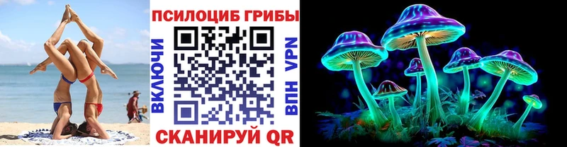 Галлюциногенные грибы Cubensis  Купить закладки  Юхнов 